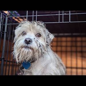 Blanca's extreme makeover